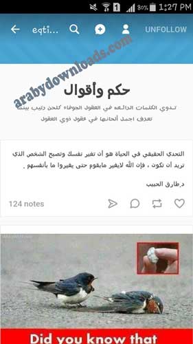تحميل برنامج تمبلر Tumblr للاندرويد - يمكنك من خلال الصورة معرفة الواجهة الرئيسية لبرنامج تمبلر