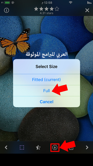 حفظ الصور من برنامج wallpaper خلفيات للايفون - تحميل افضل برنامج خلفيات للايفون