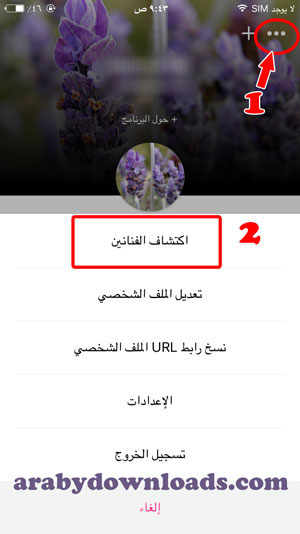 اكتشاف الفنانين