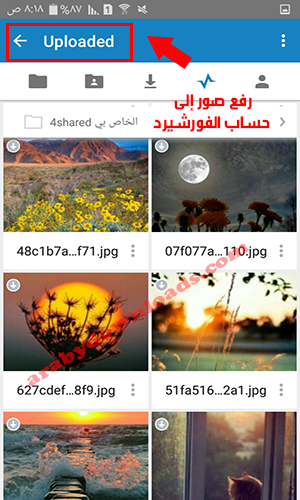 تحميل برنامج 4shared للاندرويد