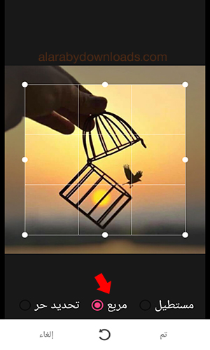 تحميل أفضل برنامج للكتابة على الصور بخطوط جميلة المصمم العربي للأندرويد