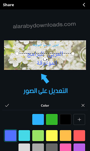 شرح برنامج تصميم الانفوجرافيك للموبايل Canva Infographic 