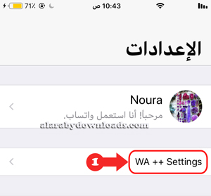 اعدادات واتس اب بلس للايفون
