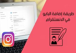 ترتيب بايو الانستا bio