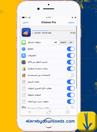 الواجهة الرئيسية في أداة iCleaner Pro