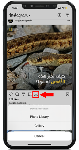 تحميل صور انستقرام