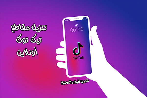 طريقة حفظ مقاطع تيك توك بدون علامة مائية اونلاين وبدون حقوق Tik Tok  Downloader