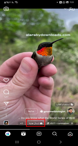 ارسال هدية لصاحب المنشور